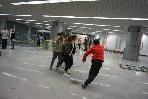 新西蘭風情文化集市 跨越山海，邀您共赴一場藝術(shù)盛宴
